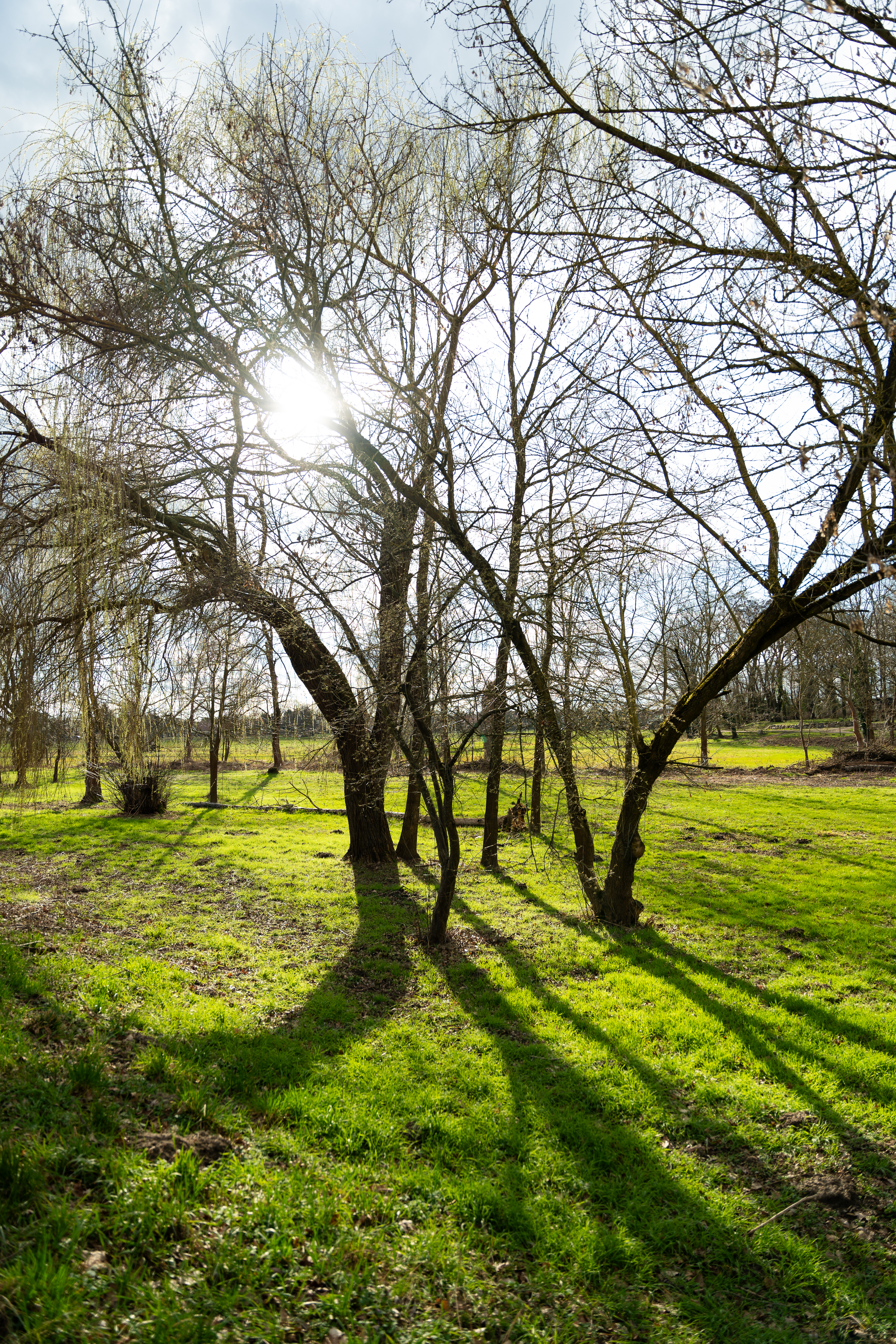 Natur Lübben